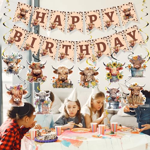 Rngmsi Highland Cow Birthday Decorations – 16-Piece Party Set with Banners and Swirls