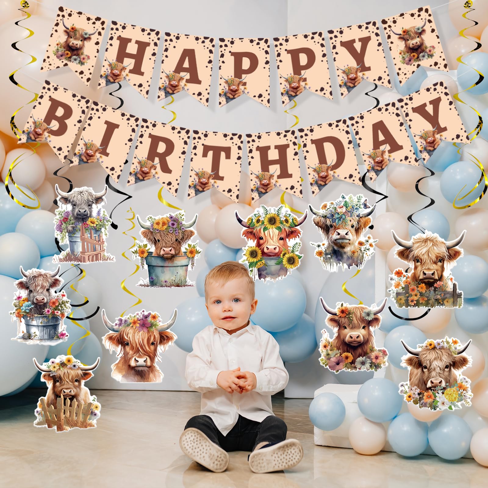 Rngmsi Highland Cow Birthday Decorations – 16-Piece Party Set with Banners and Swirls