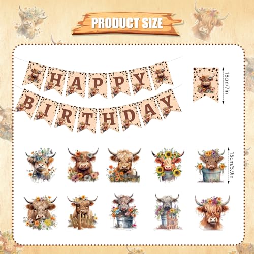 Rngmsi Highland Cow Birthday Decorations – 16-Piece Party Set with Banners and Swirls