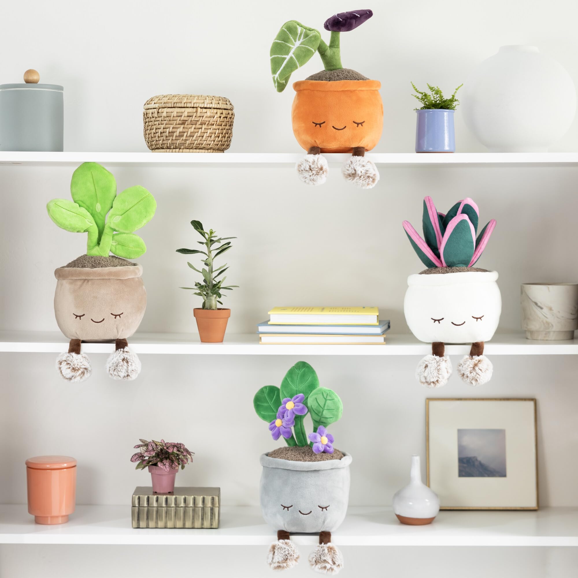 Russ Greenhouse 12-Inch Pilea Plant Plush – Ultrasoft Official Jazwares Toy, Ages 3+