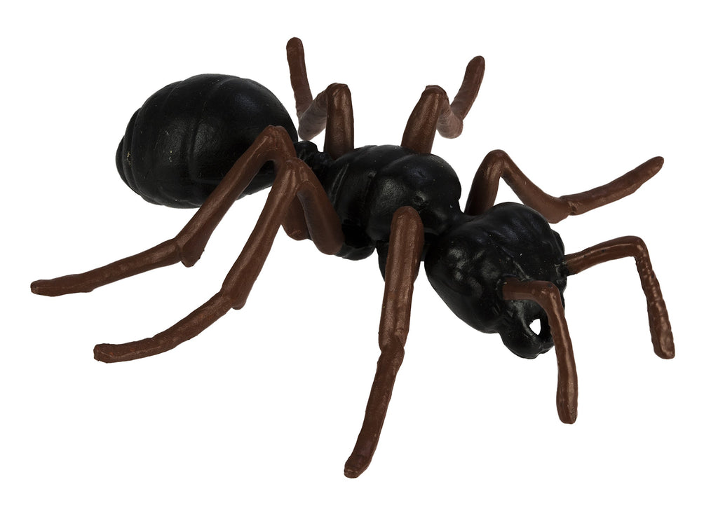 Safari Ltd. Ant Life Cycle Set – 4 Hand-Painted Figurines for Ages 4+