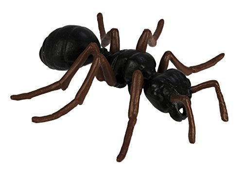 Safari Ltd. Ant Life Cycle Set – 4 Hand-Painted Figurines for Ages 4+