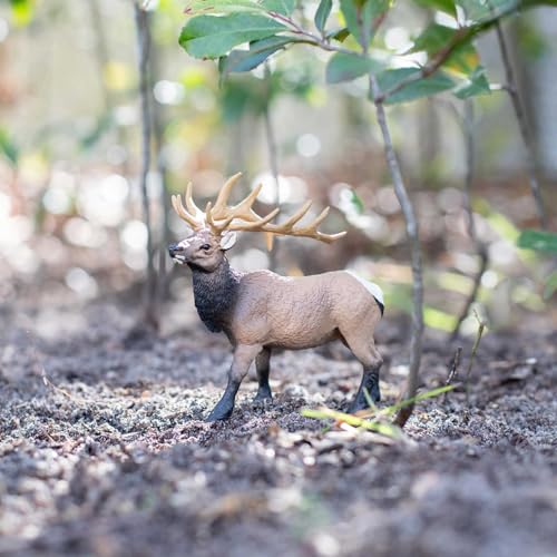 Safari Ltd. Elk Bull Figurine, Hand-Painted Plastic Model – 4.75 Inches Tall, Ages 3+