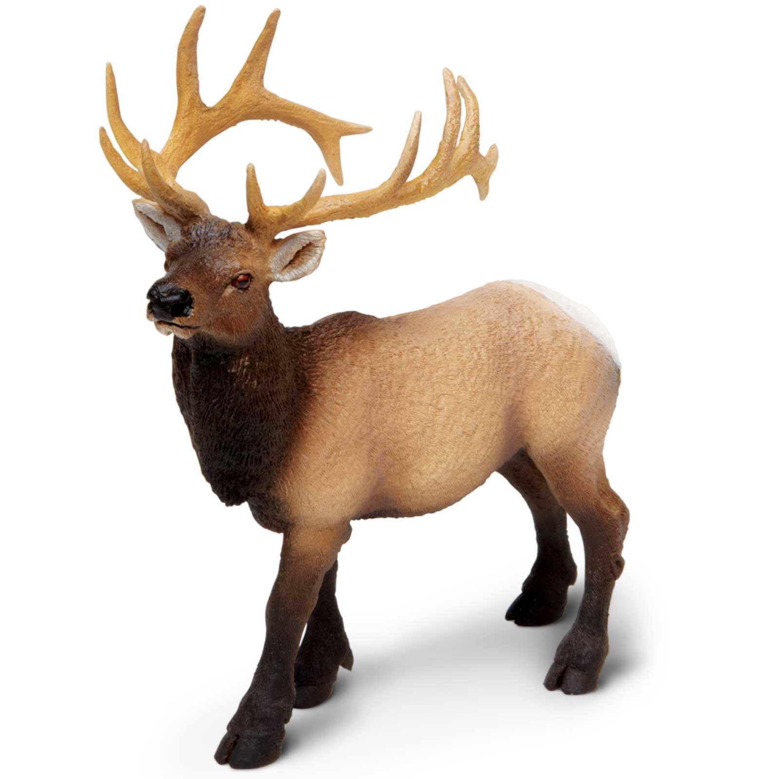 Safari Ltd. Elk Bull Figurine, Hand-Painted Plastic Model – 4.75 Inches Tall, Ages 3+