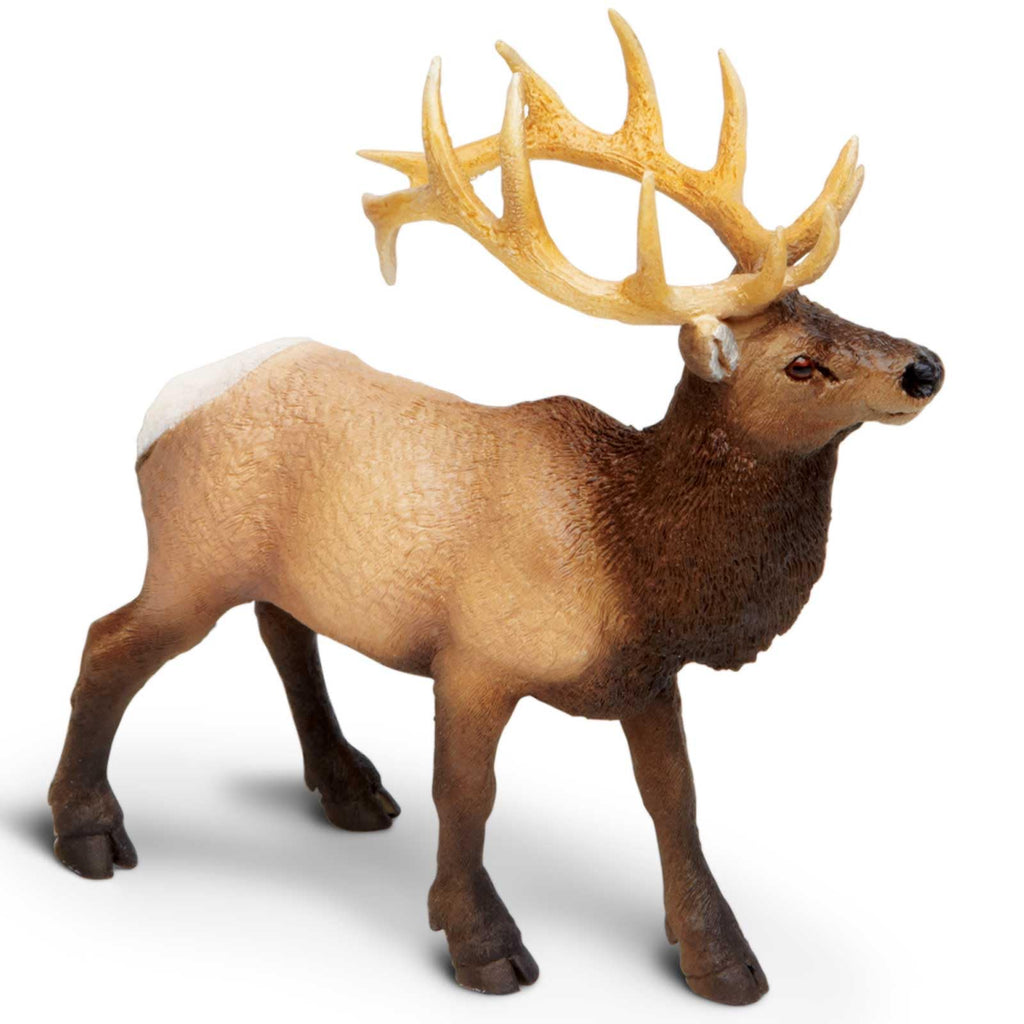 Safari Ltd. Elk Bull Figurine, Hand-Painted Plastic Model – 4.75 Inches Tall, Ages 3+
