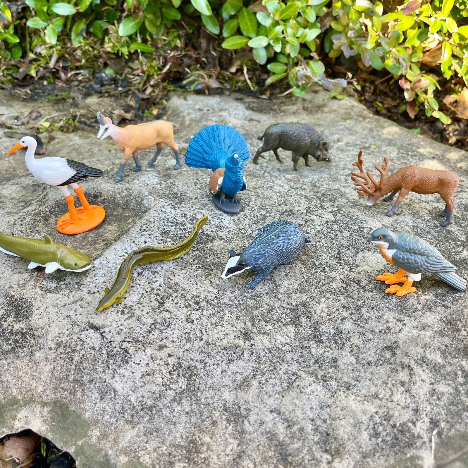 Safari Ltd. European Animals TOOB - 9 Detailed Figurines in Portable Case, Non-Toxic & BPA-Free for Ages 3+