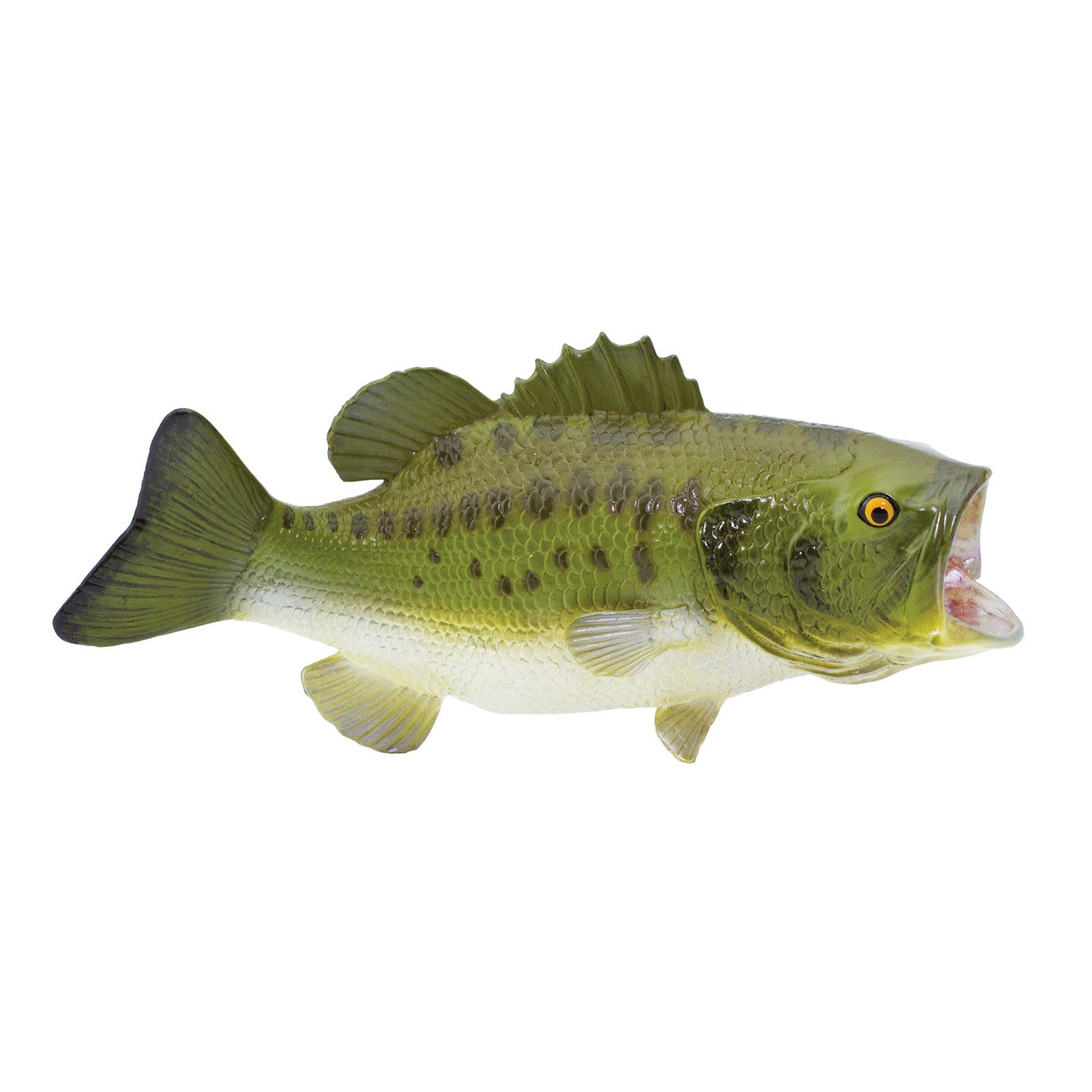 Safari Ltd. Largemouth Bass Figurine – Hand-Painted 6.25 Inch Model, Educational Toy for Kids