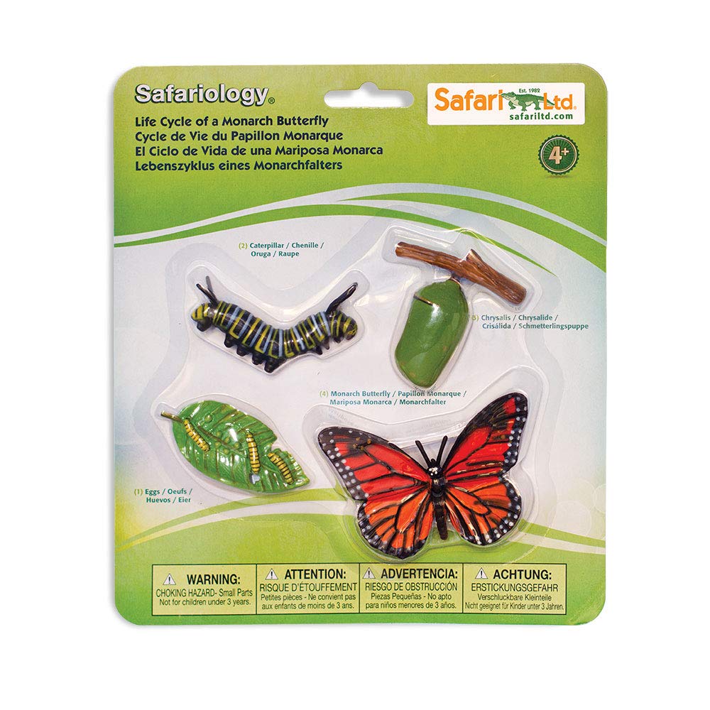 Safari Ltd Life Cycle of a Monarch Butterfly – 4 Figurines with Multilingual Educational Cards