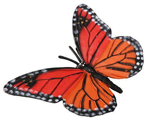 Safari Ltd Life Cycle of a Monarch Butterfly – 4 Figurines with Multilingual Educational Cards