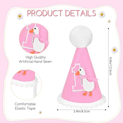 Sanixin Goose 1st Birthday Party Decoration Set – Highchair Banner, Hat & Cake Topper