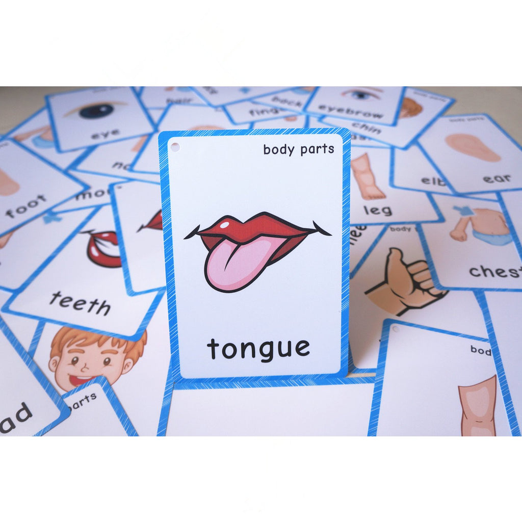 SANTSUN 36 Body Parts Flash Cards for Toddlers – Hole-Punched with Ring, Colorful Learning Tool for Preschool and Kindergarten