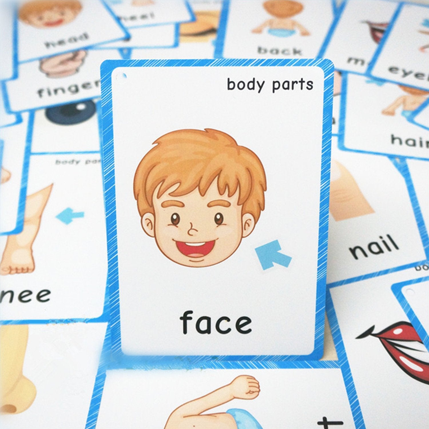 SANTSUN 36 Body Parts Flash Cards for Toddlers – Hole-Punched with Ring, Colorful Learning Tool for Preschool and Kindergarten