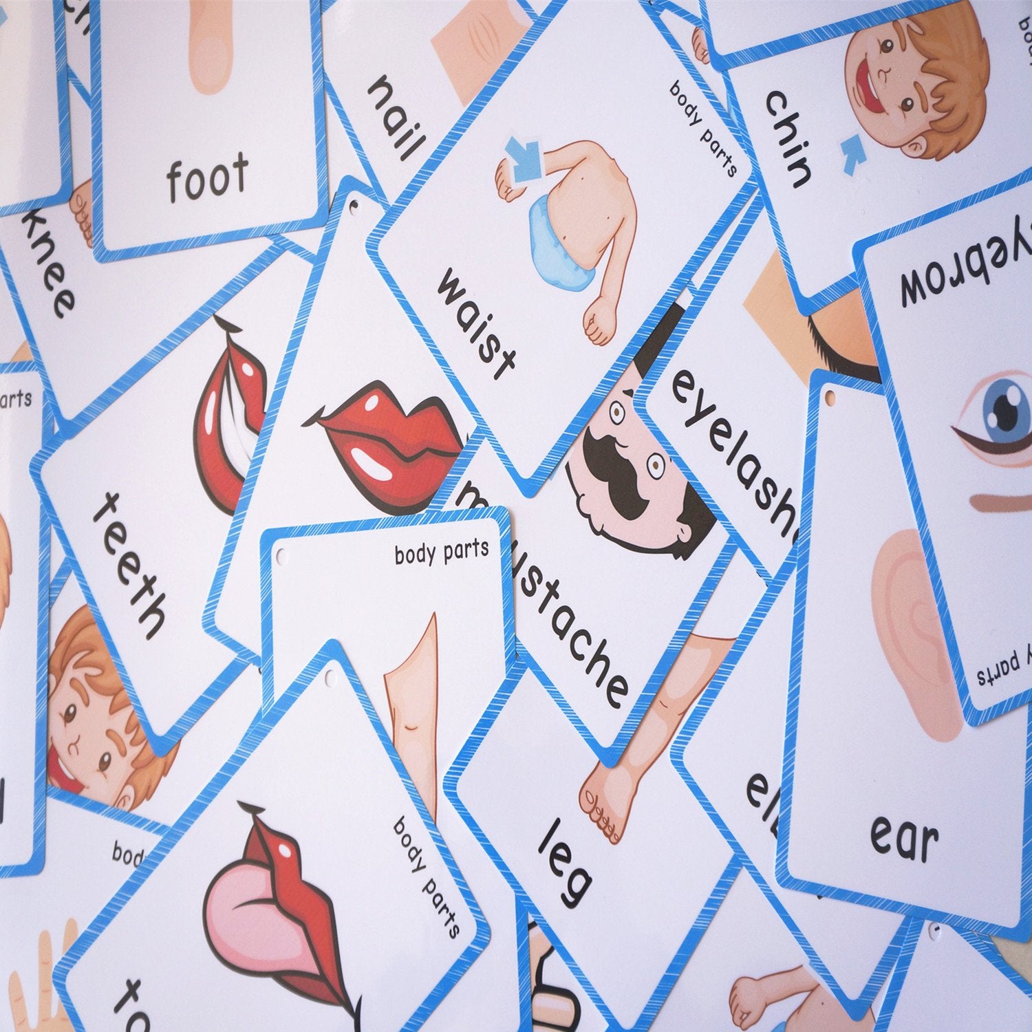 SANTSUN 36 Body Parts Flash Cards for Toddlers – Hole-Punched with Ring, Colorful Learning Tool for Preschool and Kindergarten