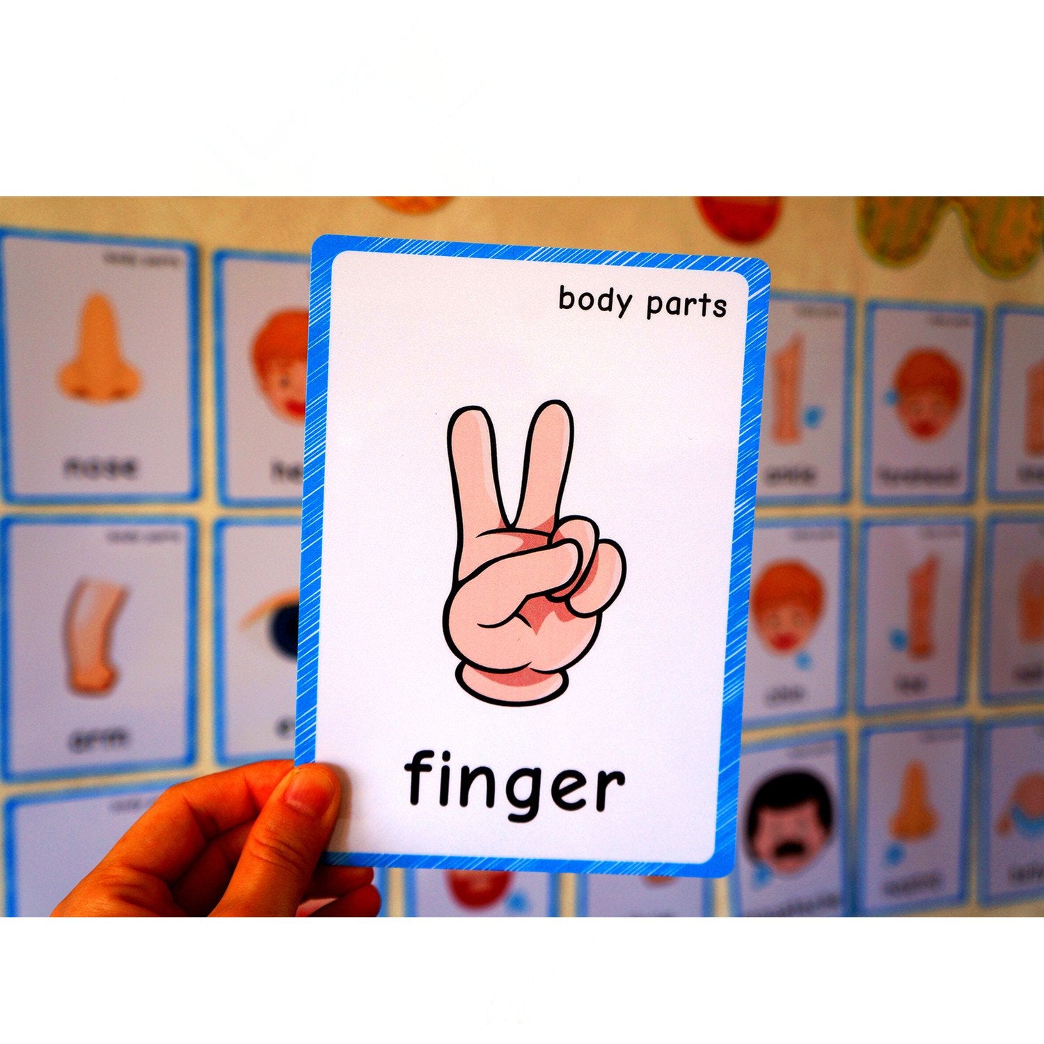 SANTSUN 36 Body Parts Flash Cards for Toddlers – Hole-Punched with Ring, Colorful Learning Tool for Preschool and Kindergarten
