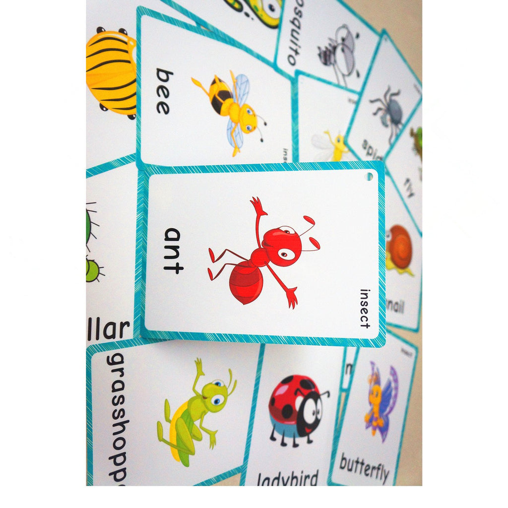 SANTSUN Insect & Bugs Flashcards - 14 Learning Cards with Ring for Toddlers, Kindergarten Classroom Decor
