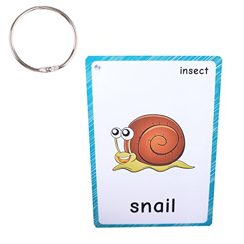 SANTSUN Insect & Bugs Flashcards - 14 Learning Cards with Ring for Toddlers, Kindergarten Classroom Decor