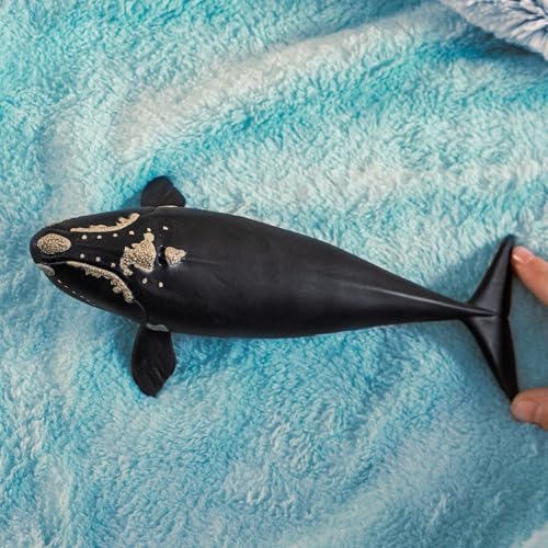 Schleich North Atlantic Right Whale Toy – 7 Inch Realistic Figurine for Kids Ages 3+