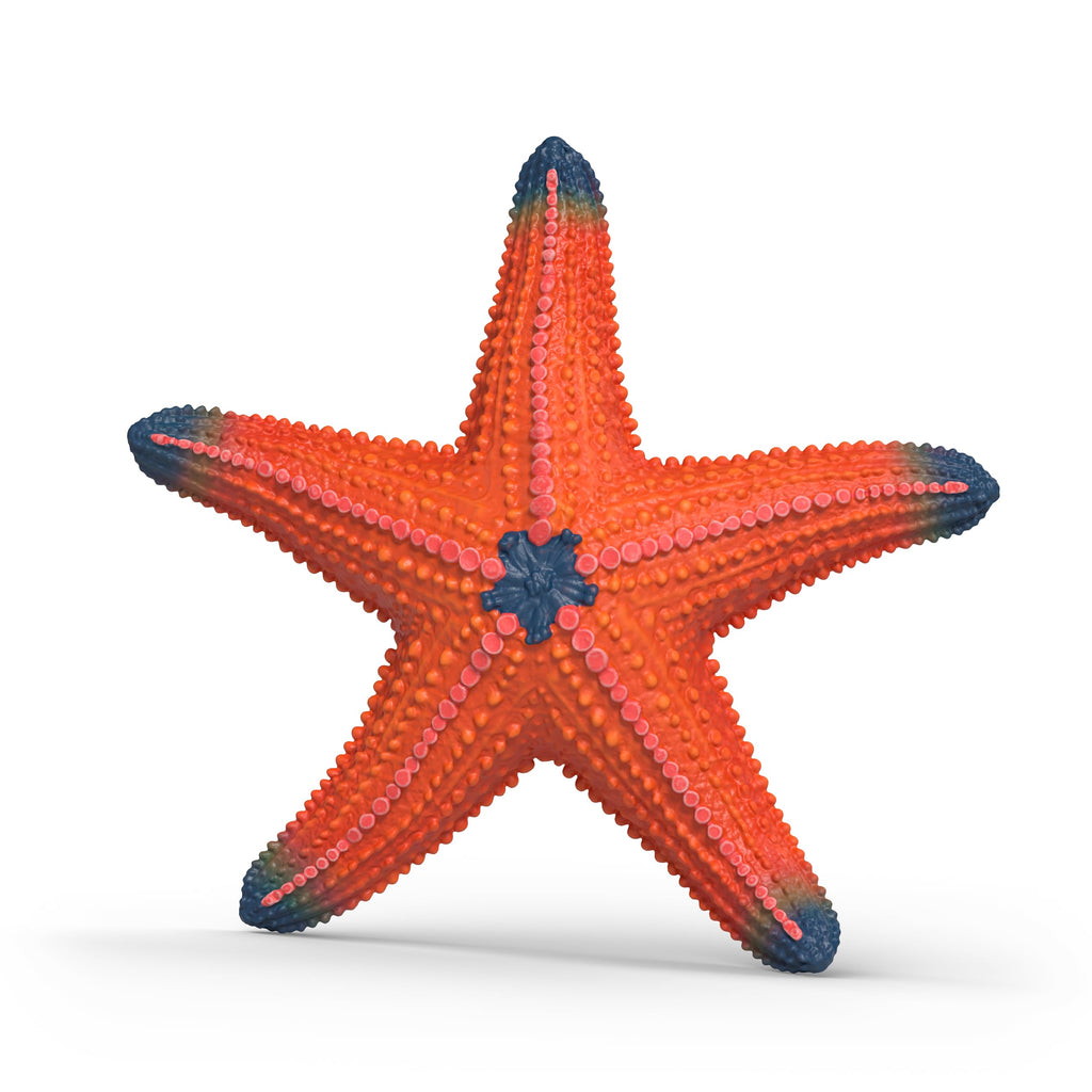 Schleich Starfish Figurine – Realistic Wild Life Toy for Imaginative Play