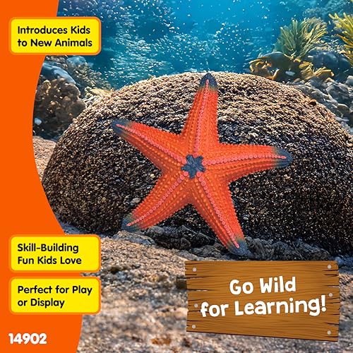 Schleich Starfish Figurine – Realistic Wild Life Toy for Imaginative Play