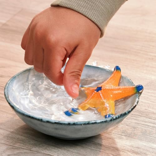 Schleich Starfish Figurine – Realistic Wild Life Toy for Imaginative Play