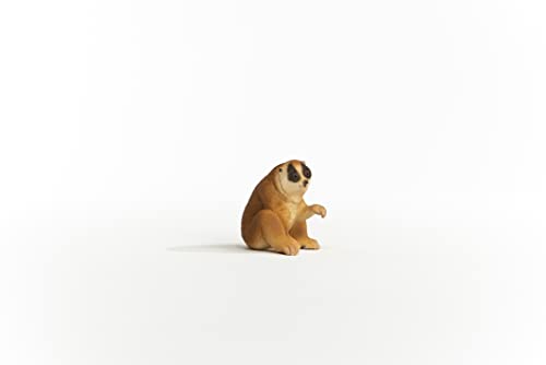 Schleich Wild Life Slow Loris Figurine – Detailed Toy for Kids Ages 3+