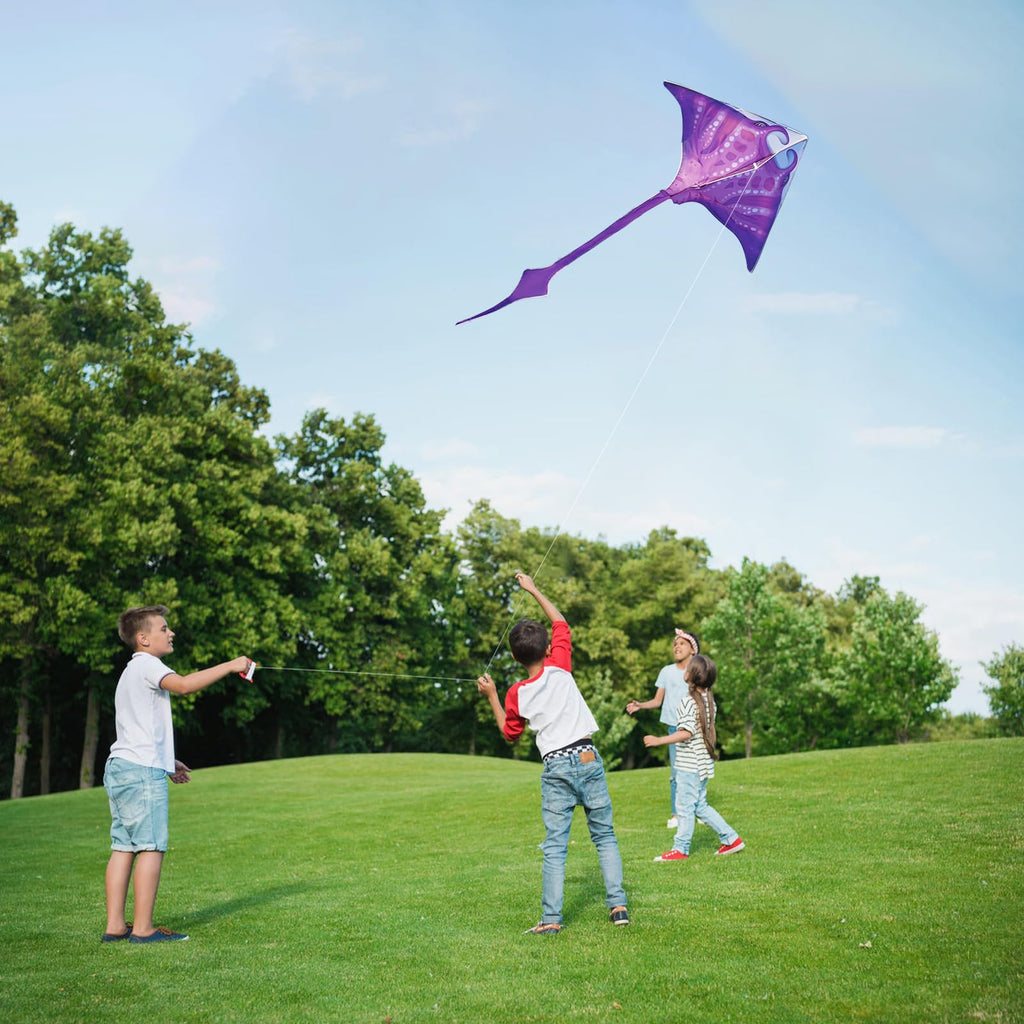 SGftre 3D Red Pterosaur Kite – Easy to Fly, 57x64 Inch, for Kids & Adults, Beach & Outdoor Fun