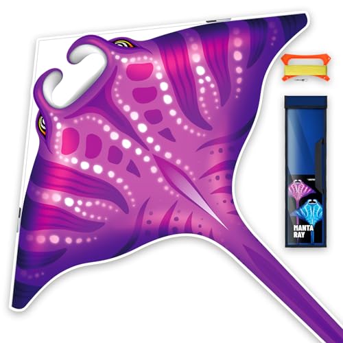 SGftre 3D Red Pterosaur Kite – Easy to Fly, 57x64 Inch, for Kids & Adults, Beach & Outdoor Fun