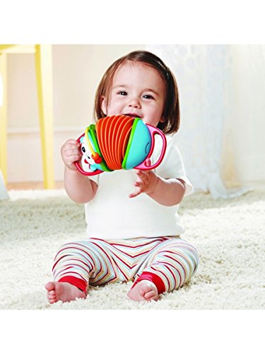 Skip Hop Accordian Baby Musical Toy - Hedgehog with Easy-Grip Handles and Teething Details