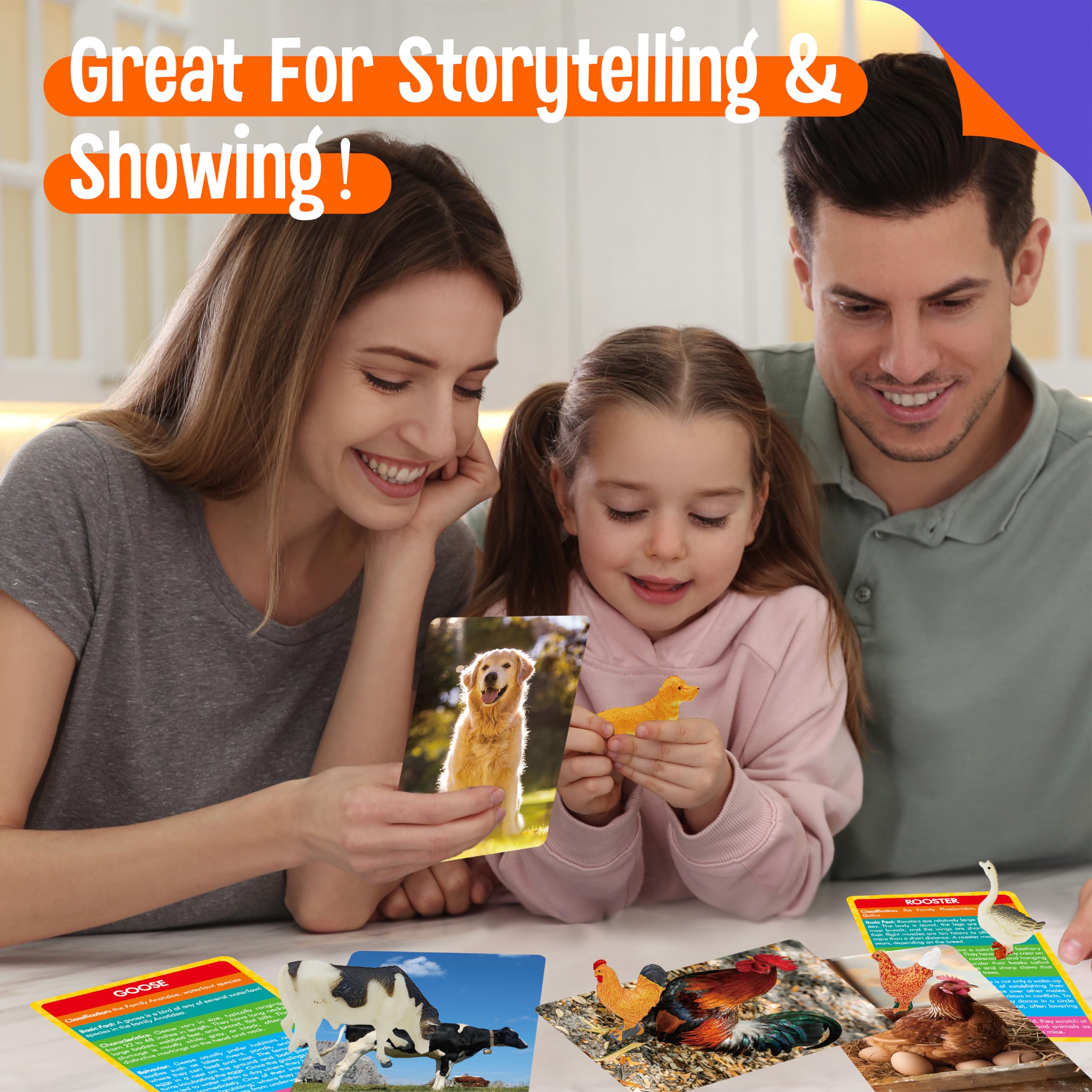 SpriteGru 12 Farm Animal Figurines with Flashcards - Montessori Matching Game for Toddlers