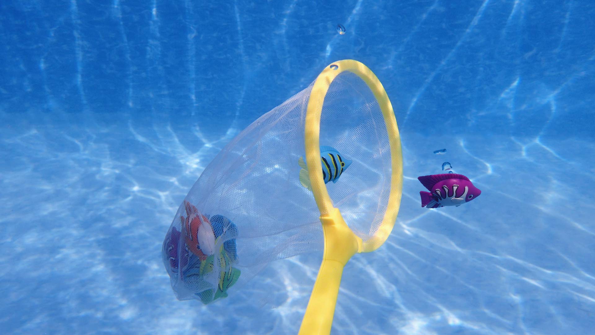 SWIMLINE Fish Catch Game Dive Toys 6-Pack - Weighted Underwater Fish with Net for Pool & Bath