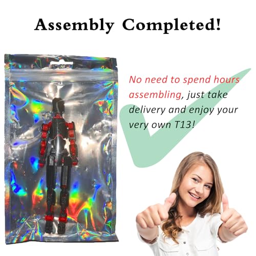 T13 Fully Articulated Action Figure - 3D Printed Multi-Jointed Movable Toy for Collectors (Black Red)