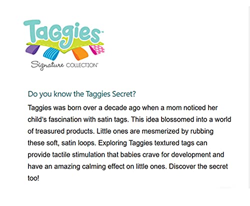 Taggies Heather Hedgehog Baby Rattle - 5-Inch Soft Ring Rattle with Satin Loop Tags