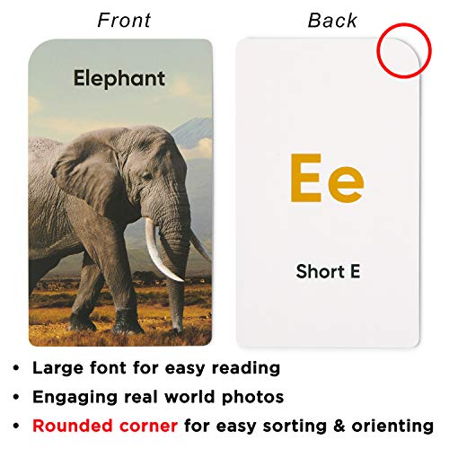 Think Tank Scholar Award-Winning Alphabet Flash Cards – Learn ABCs, Phonics & Speech for Ages 2-6