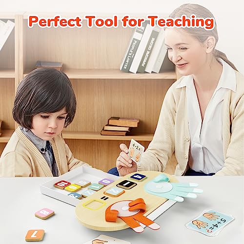 TOP BRIGHT Number Counting Toy for Toddlers - Montessori Finger Counting Math Blocks for Ages 3-5