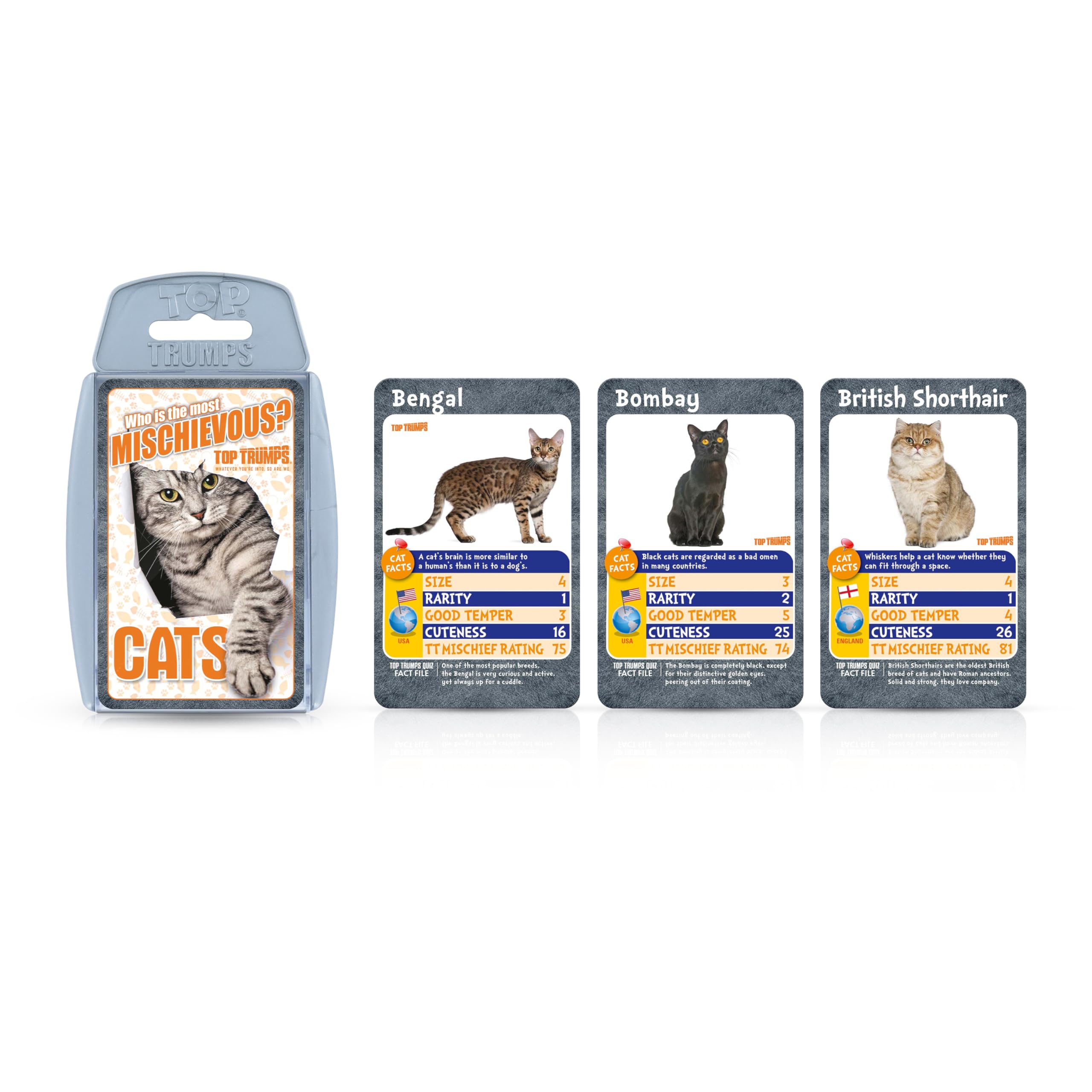 Top Trumps Cats Card Game: Learn Fun Facts About Bengal, British Shorthair & Siberian Cats – Educational Family Game for Ages 6+