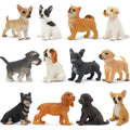 Toymany 12PCS Mini Dog Figurines – Hand-Painted Plastic Puppies, 6 Breeds, Cake Toppers for Kids 3+