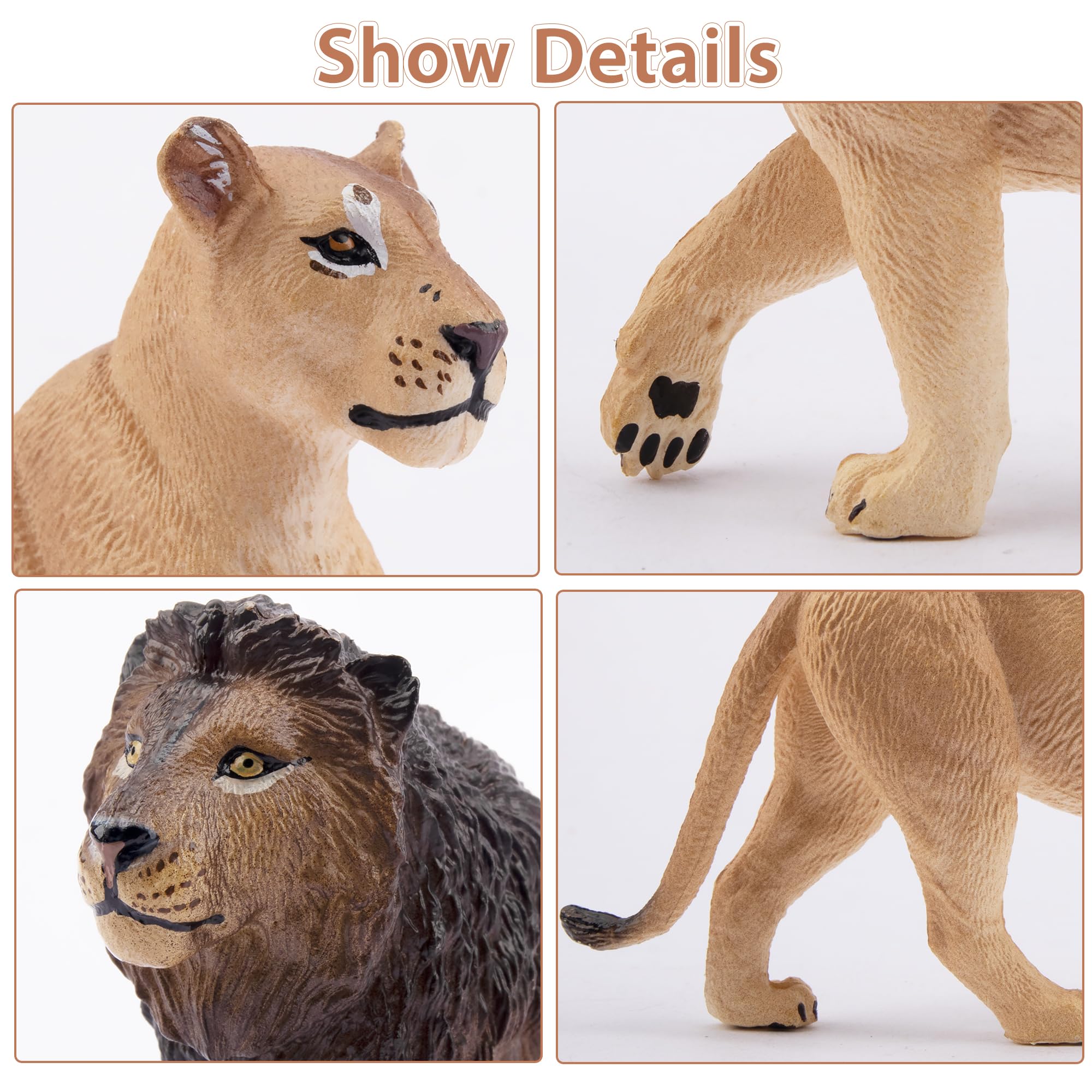 Toymany 6-Piece Lion Family Figurines – Realistic Safari Animals Set with Lion, Lionesses, and Cubs