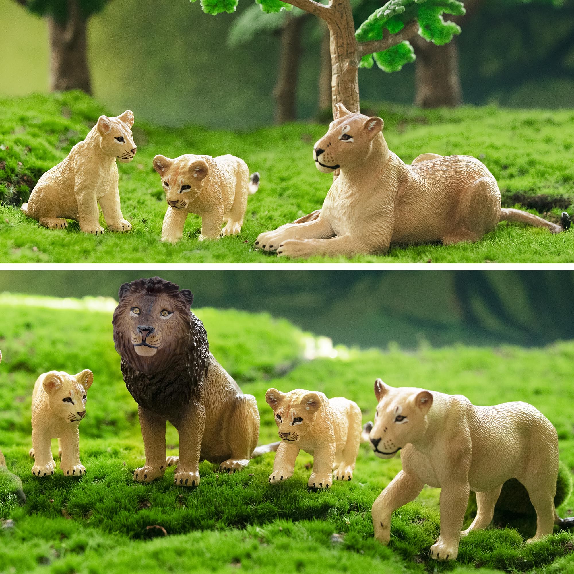 Toymany 6-Piece Lion Family Figurines – Realistic Safari Animals Set with Lion, Lionesses, and Cubs