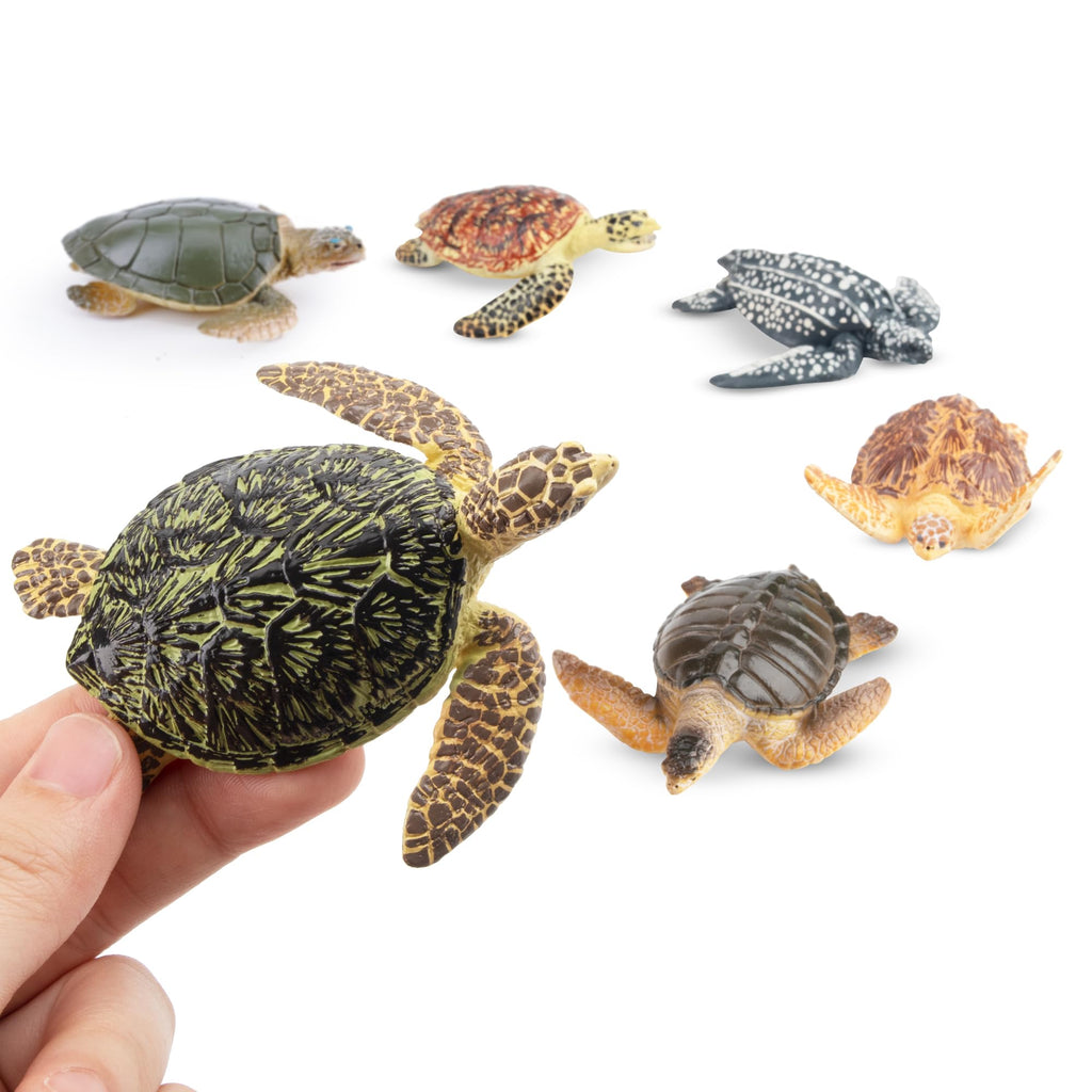 Toymany 6-Piece Realistic Sea Turtle Figurines Set - Hand Painted PVC Ocean Animal Toys for Kids, Educational Playset, Cake Toppers