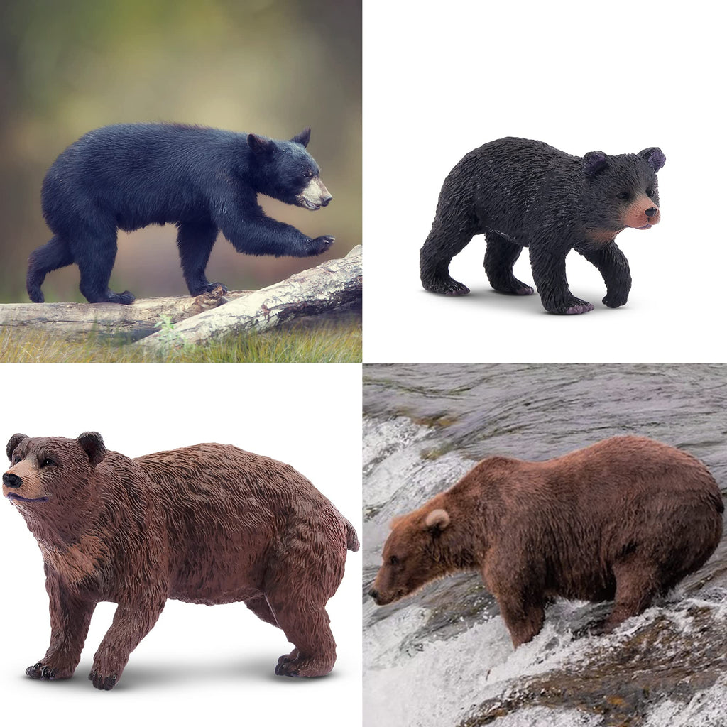 Toymany 6PCS Bear Figurines - Realistic Forest Animal Family Set for Kids