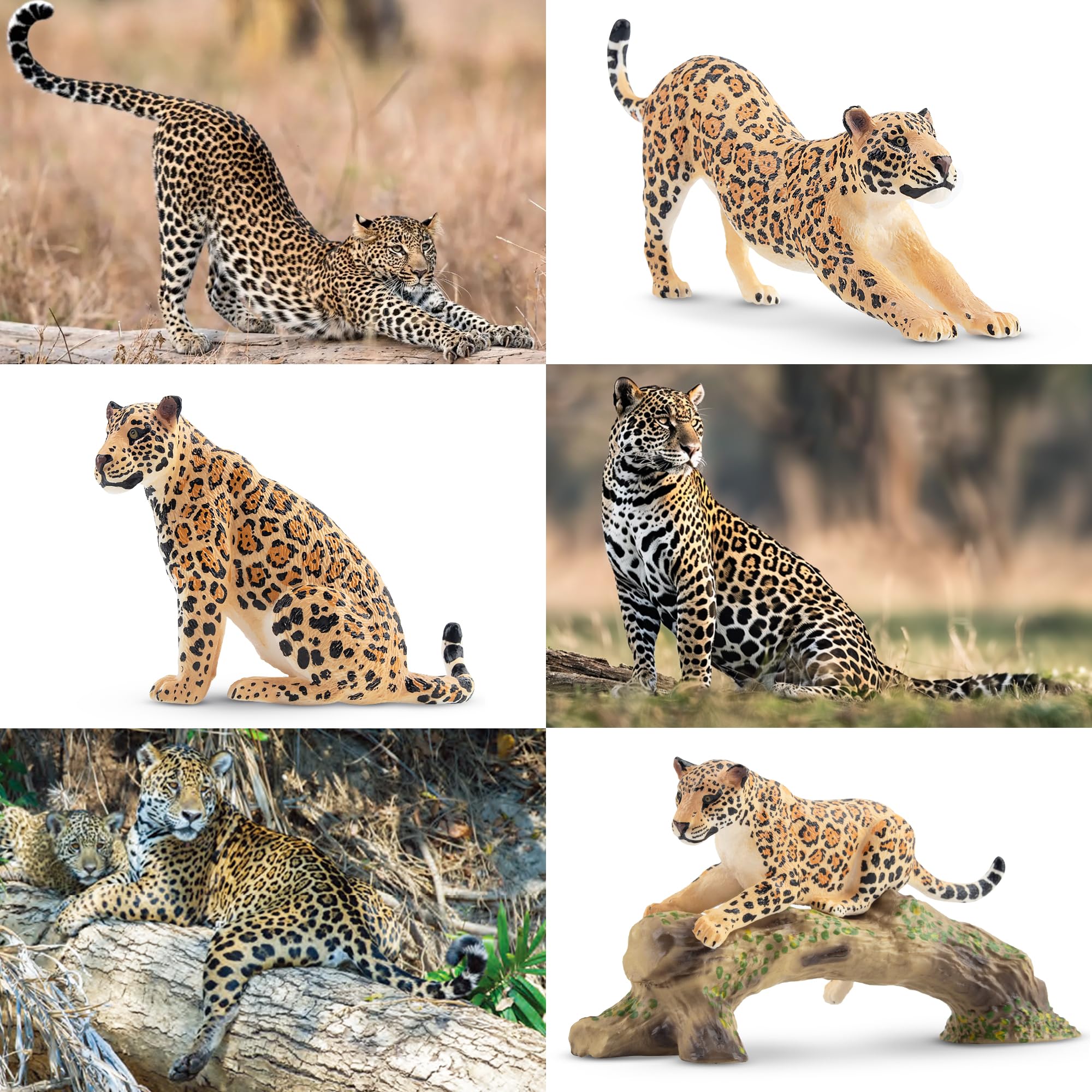 Toymany 7-Piece Leopards Family Figurines with Cubs and Tree Trunk – Realistic Jungle Animal Playset for Kids