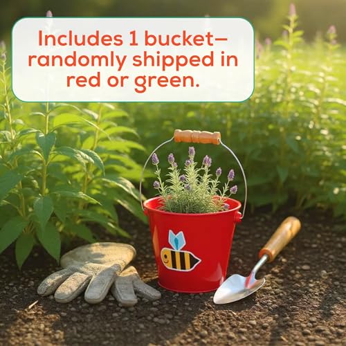 Toysmith 5-Inch Metal Garden & Beach Bucket for Kids – Bee & Beetle Designs