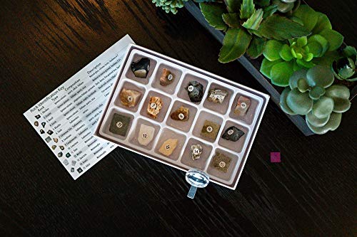 Toysmith Rock Science Kit – 15 Mineral Specimens with Magnifying Viewer & Identification Guide for Kids Ages 8+