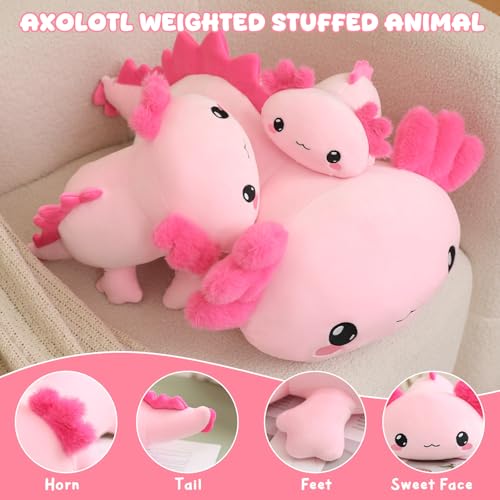 TOYSYM Weighted Axolotl Stuffed Animal – Soft Plush Toy with Weighted Beads, Cute Pillow for Kids and Adults
