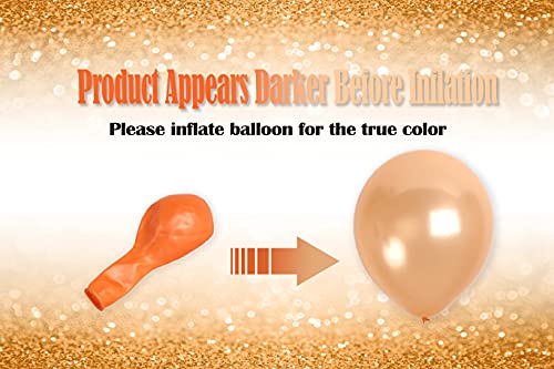 Treasures Gifted 36-Pack Champagne Pearl Balloons - Metallic Latex, 12 Inch, with Ribbon
