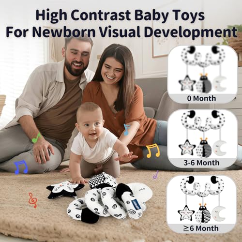 TSYAN Black and White Bug Car Seat Toy with Bell and Squeaker for Newborns 0-12 Months