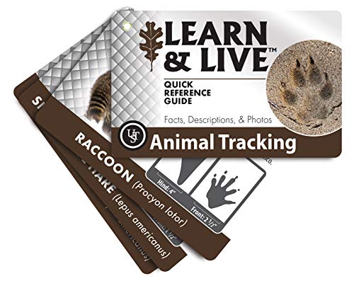 UST Learn & Live Outdoor Skills Card Set – Waterproof, Compact, 12 Survival Topics
