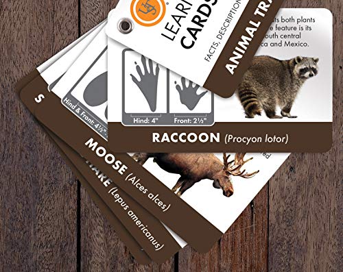 UST Learn & Live Outdoor Skills Card Set – Waterproof, Compact, 12 Survival Topics