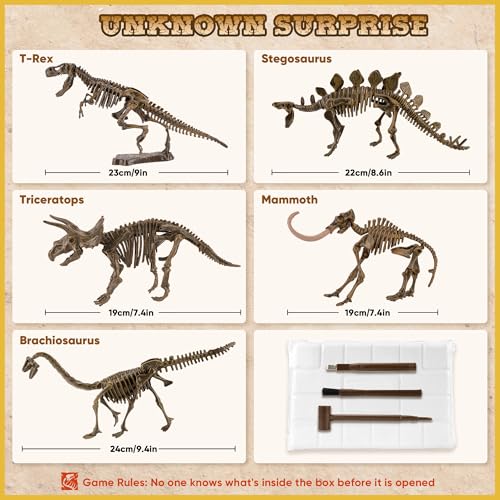 VIBIRIT Dig Up Dinosaurs Skeleton Set – Dinosaur Digging Fossil Kit for Kids 5-12, Excavation Toys with Random Surprise Model