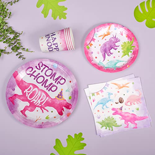 WERNNSAI Pink Dinosaur Party Tableware Set - 64 Pieces Dino Plates, Napkins, Cups for Girls Birthday
